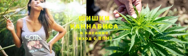 спиды Вяземский